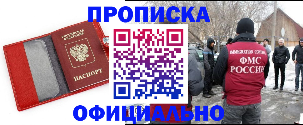 где прописаться в Коле